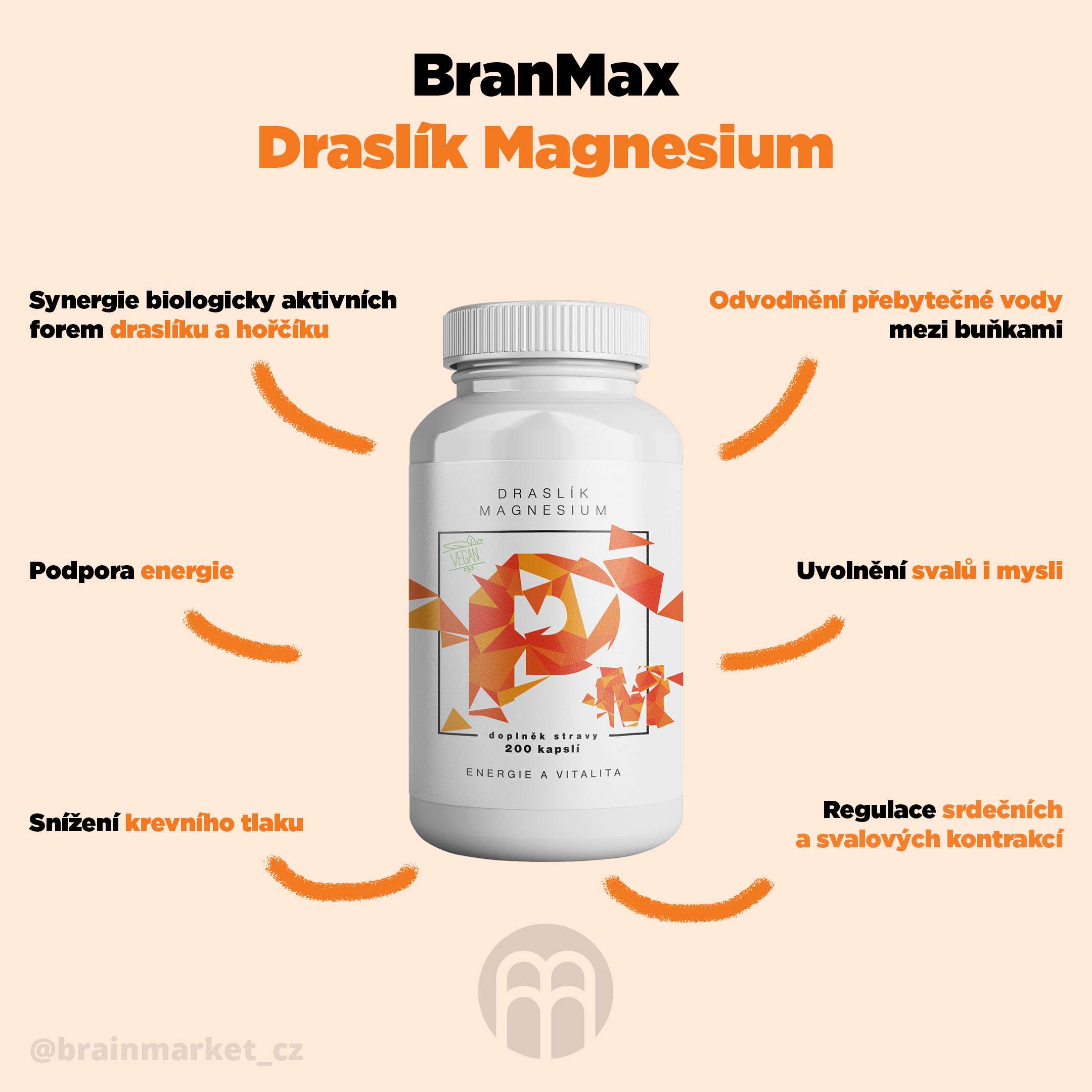 draslik_magnesium_infografika_brainmarket_CZ (2)